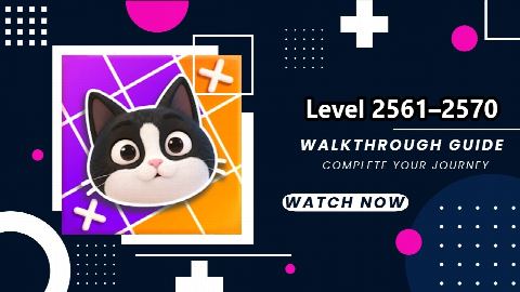 Meowdoku: Brain Puzzle Games Level 2561-2570 – answer video