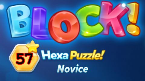 BLOCK! Hexa Puzzle Level 57 – answer video