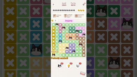 Meowdoku: Brain Puzzle Games Level 2861-2870 – answer video